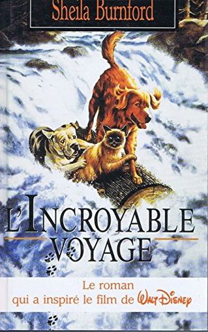 L'Incroyable Voyage