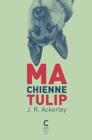 Ma chienne Tulip