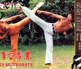 image-https://media.senscritique.com/media/000017255861/0/black_belt_karate.jpg