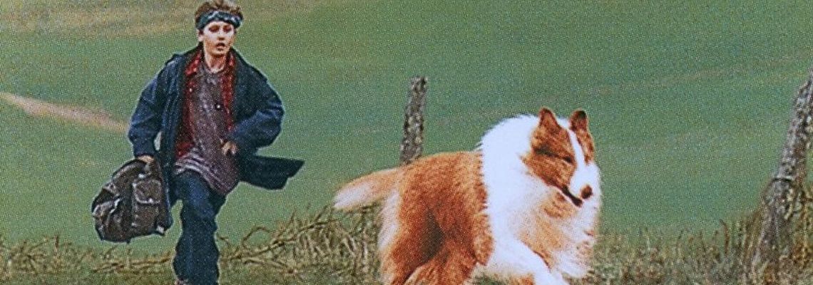 Cover Lassie : Des amis pour la vie