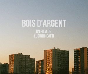 Bois d’Argent