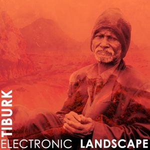 Electronic Landscape (EP)
