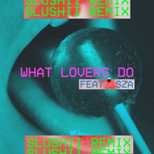 What Lovers Do (Slushii remix)