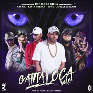 Gatita loca (remix)