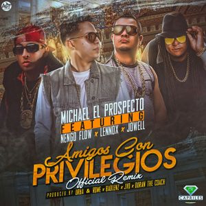 Amigos con privilegios (remix)