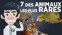 7 des animaux les plus rares