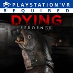 Jaquette Dying: Reborn VR