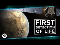 First Detection of Life