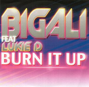 Burn It Up (Single)