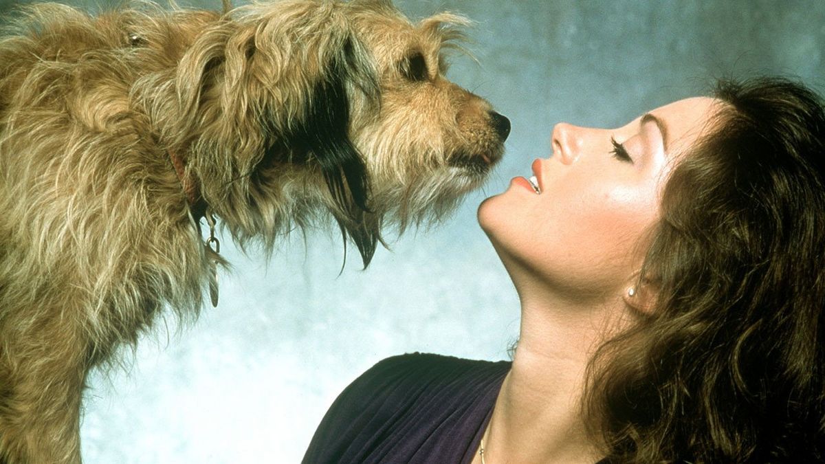 oh-heavenly-dog-film-1980-senscritique