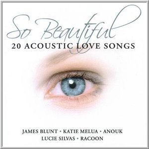 So Beautiful: 20 Acoustic Love Songs