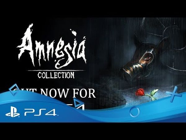 Amnesia: Collection