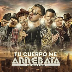 Tu cuerpo me arrebata (remix)