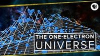 The One-Electron Universe