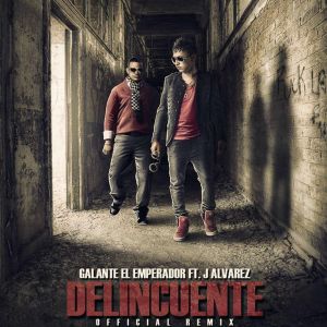 Delincuente (remix)