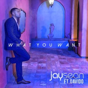 What You Want (Single)