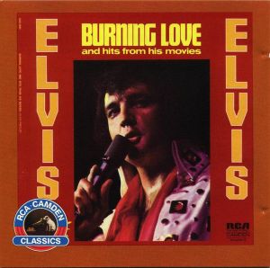 Burning Love and Hits From His Movies Vol. 2