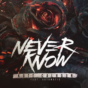 Never Know (Unplugged) (Single)