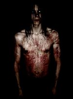Lifelover