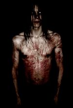 Lifelover