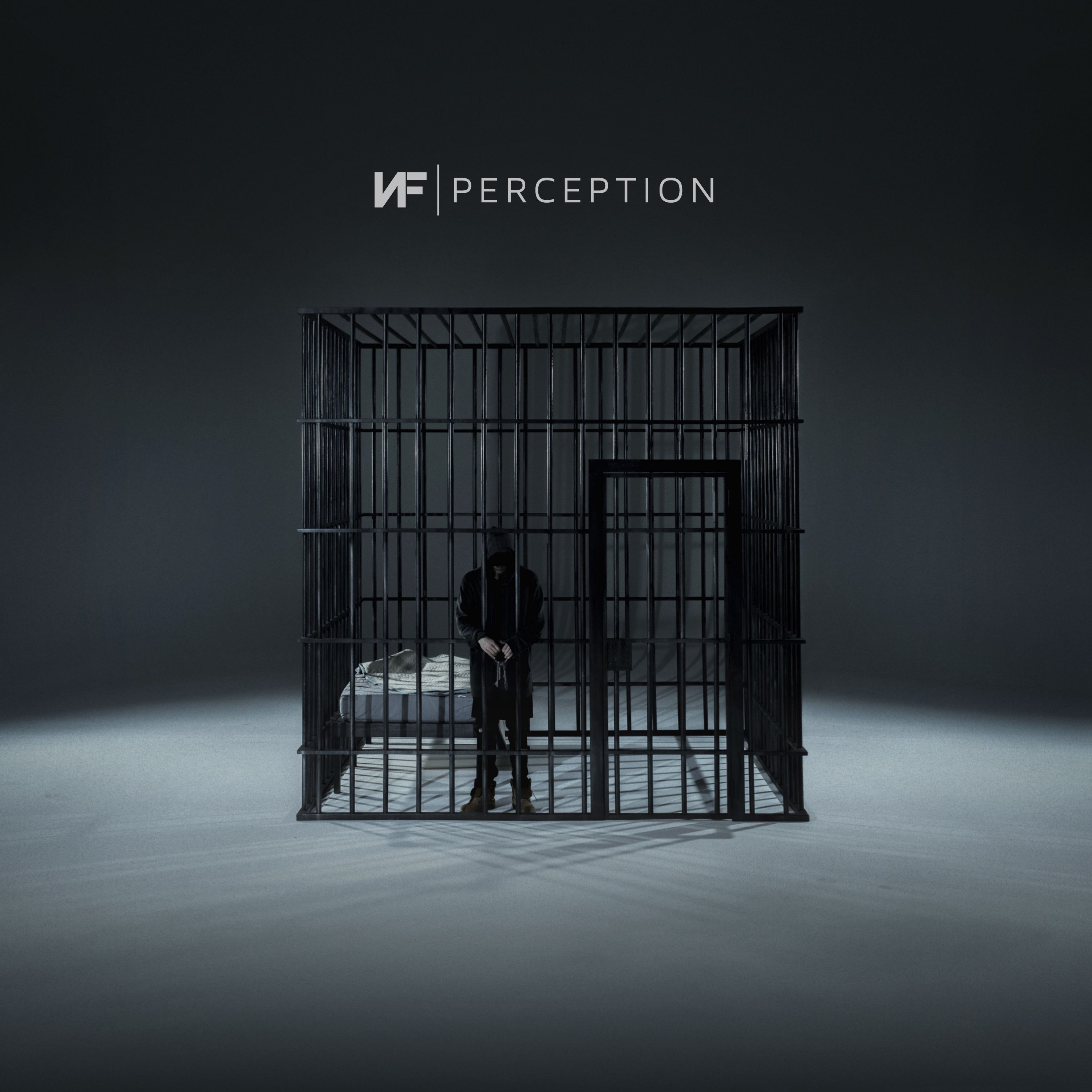 Perception - NF - SensCritique