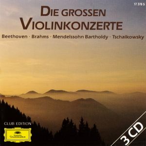 Violin Concerto in D major, op. 35, TH 59: I. Allegro moderato