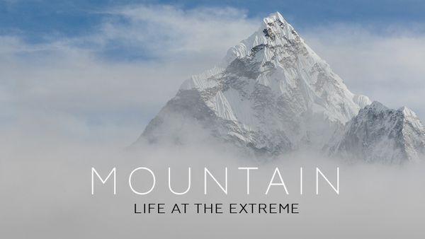 Mountain: Life at the Extreme
