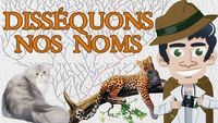 Disséquons nos noms (taxonomie)