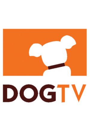 Dog TV