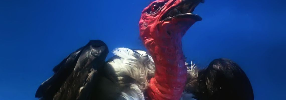 Cover Le Choc des Titans