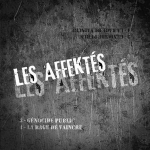 Les Affektés, Punk Haine Roll – Split 2014