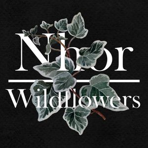 Wildflowers: Autumn (EP)