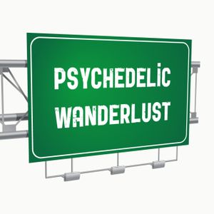 14 Tracks: Psychedelic Wanderlust