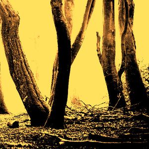 Dark Fields of September EP (EP)