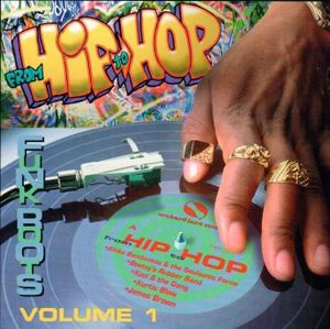 From Hip to Hop: Volume 1: Funk Roots