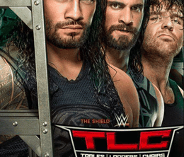 image-https://media.senscritique.com/media/000017336695/0/wwe_tlc_tables_ladders_chairs.png