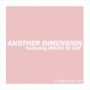 Another Dimension (Single)