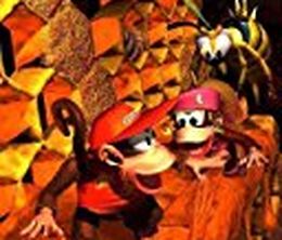 image-https://media.senscritique.com/media/000017338899/0/donkey_kong_country_2_the_lost_levels.jpg