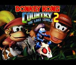 image-https://media.senscritique.com/media/000017338902/0/donkey_kong_country_2_the_lost_levels.jpg