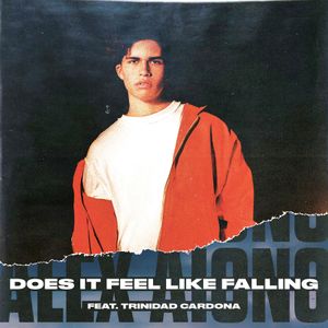 Does It Feel Like Falling (Single)