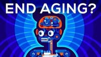 Why Age? Should We End Aging Forever?