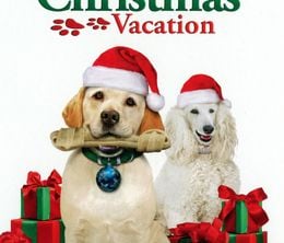 image-https://media.senscritique.com/media/000017343727/0/le_chien_de_noel_2_en_vacances_au_ski.jpg