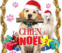 image-https://media.senscritique.com/media/000017343743/0/le_chien_de_noel_2_en_vacances_au_ski.jpg