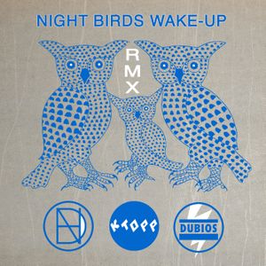 Night Birds Wake Up (steppas rmx)