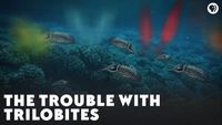 The Trouble With Trilobites