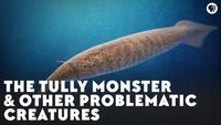 The Tully Monster & Other Problematic Creatures
