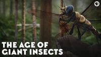 The Age of Giant Insects