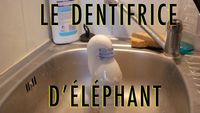 Expérience - Le dentifrice d'éléphant