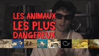 LES ANIMAUX LES PLUS DANGEREUX !