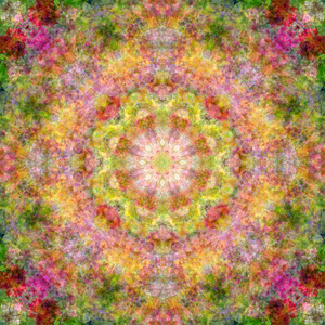 ✿Heavenly Light Flower Waltz✿